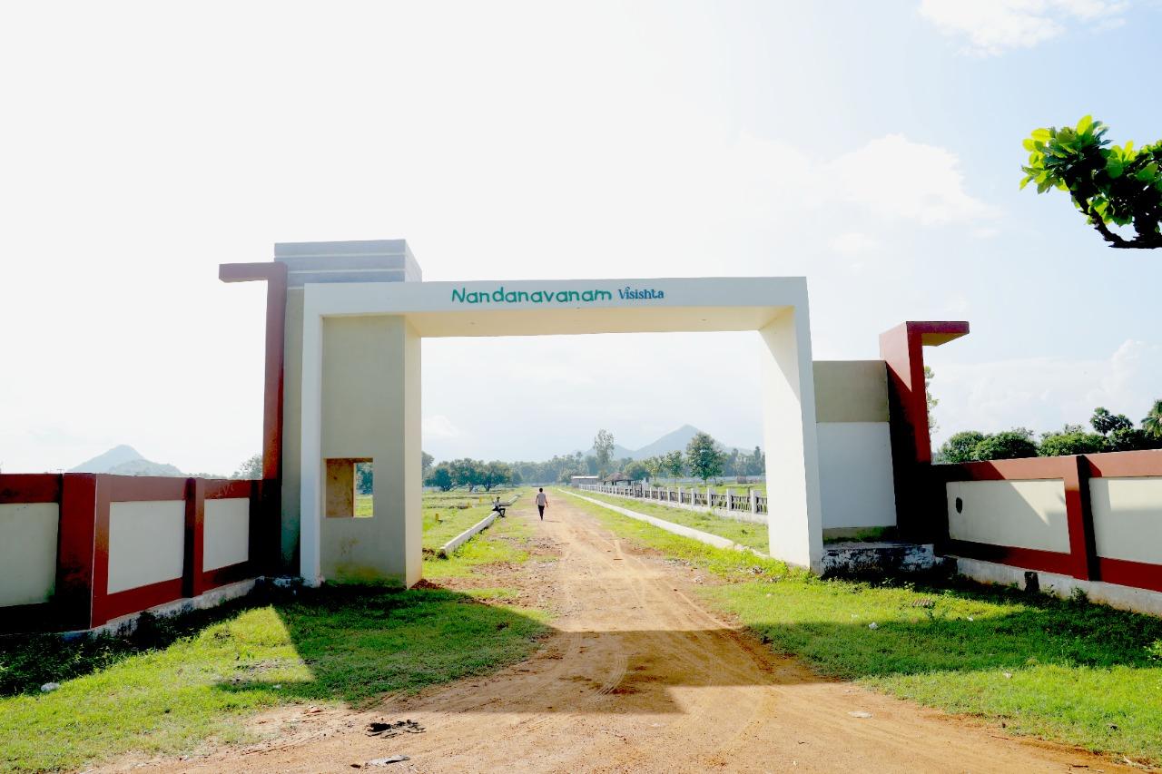 PREMIUM PLOTS IN DAKAMARRI, OPEN PLOTS IN DAKAMARRI,  PLOTS IN VIZIANAGARAM
