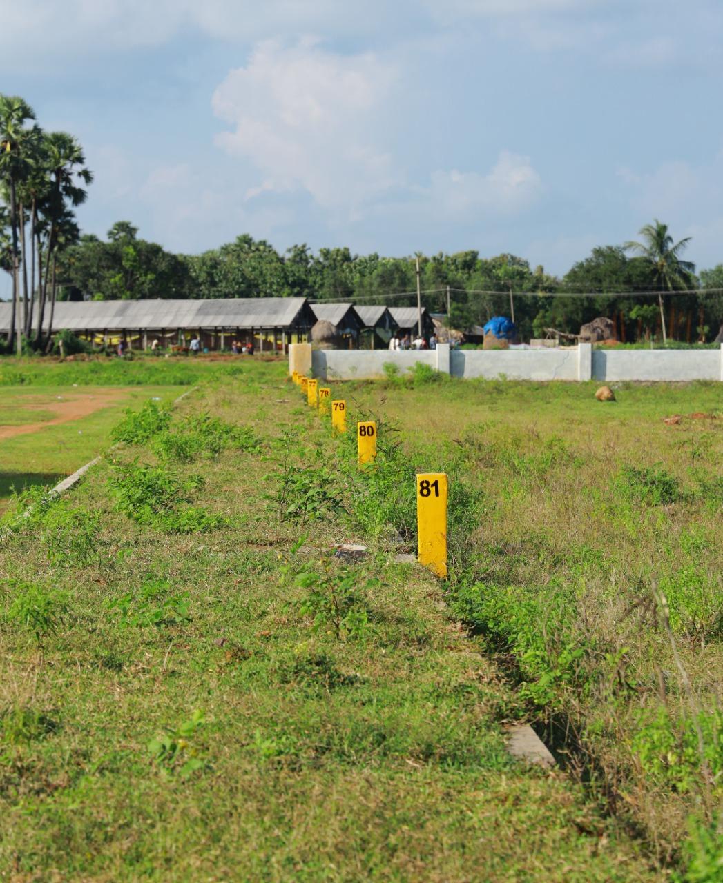 PREMIUM PLOTS IN DAKAMARRI, OPEN PLOTS IN DAKAMARRI,  PLOTS IN VIZIANAGARAM